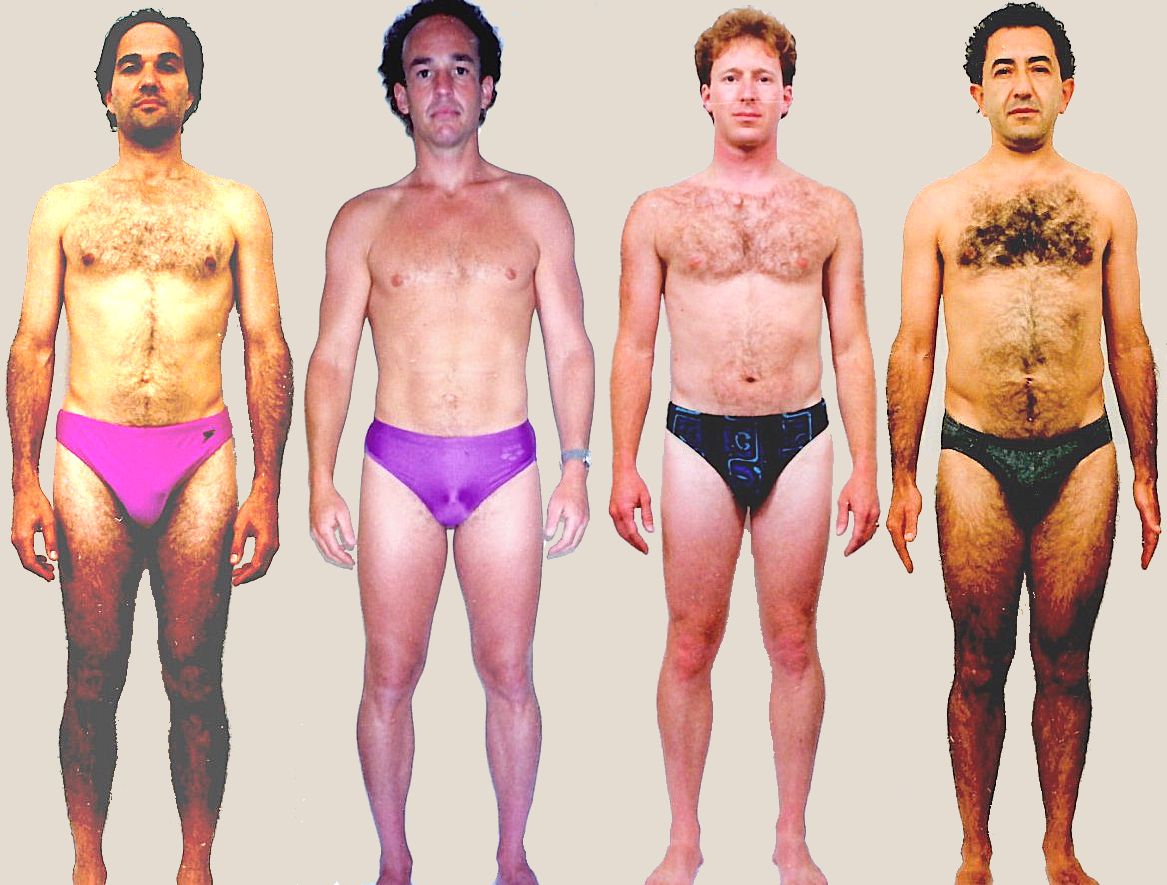 Pictures of male Brain body type